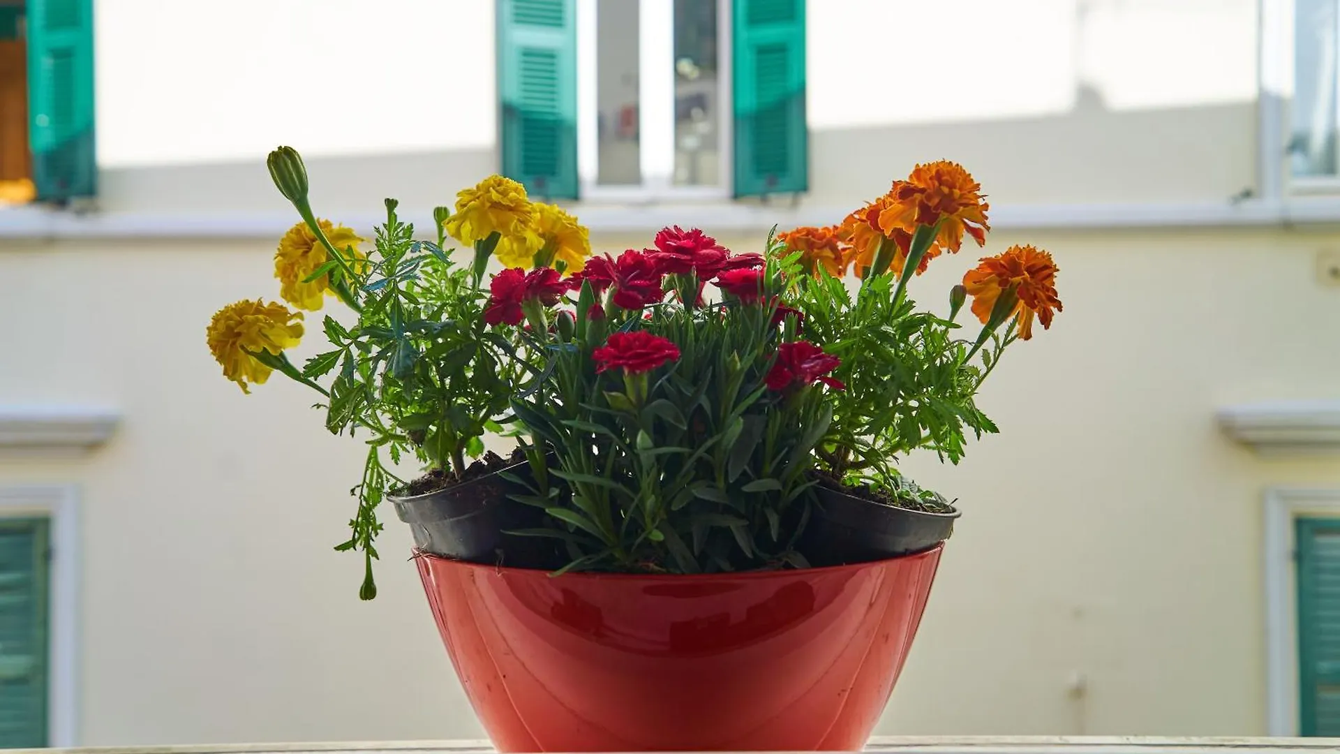 Casa Colombo Apartment Grosseto